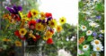 /album/cuarto-r-varios/d-059-flores-jpg/